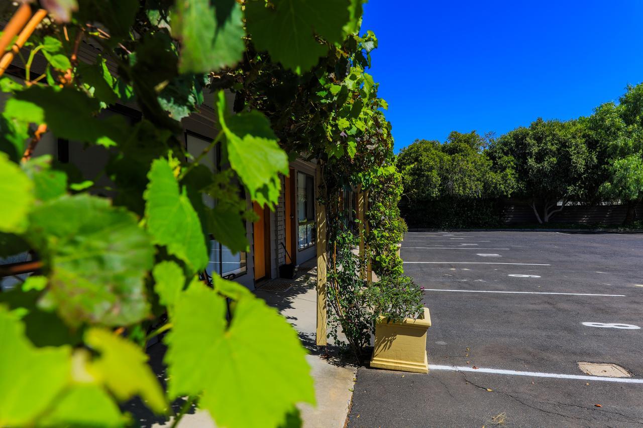 Country Roads Motor Inn Naracoorte Exteriér fotografie